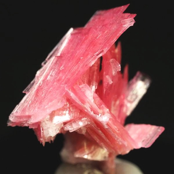 ���[�h�i�C�g�������� �΂�P�� 18x15x23(mm) (272)