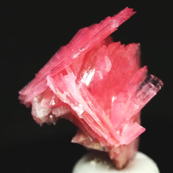 ���[�h�i�C�g�������� �΂�P�� 18x15x23(mm) (272)