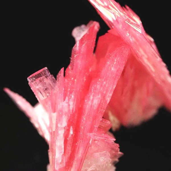 ���[�h�i�C�g�������� �΂�P�� 18x15x23(mm) (272)