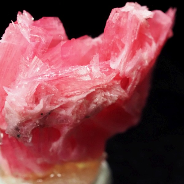 ���[�h�i�C�g�������� �΂�P�� 23x10x19(mm) (283)