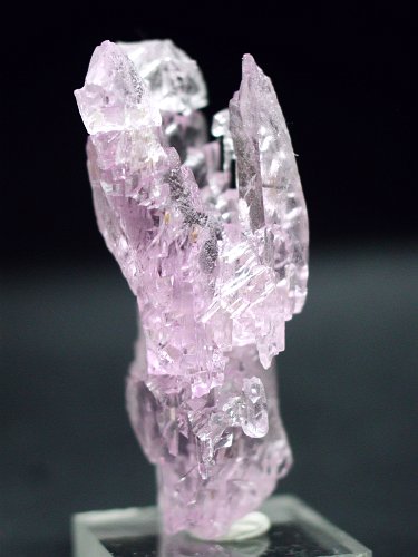 �N���c�@�C�g���� 22.8g (23)