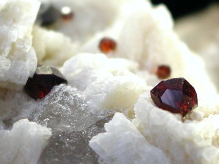 �X�y�T���e�B���K�[�l�b�g �X���[�L�[�N�I�[�c (168)