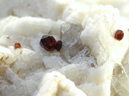 �X�y�T���e�B���K�[�l�b�g �X���[�L�[�N�I�[�c (168)