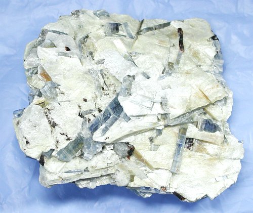 �J�C���i�C�g������ �X�C�X�Y (26G8-31)