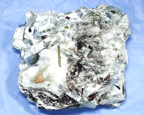 �J�C���i�C�g������ �X�C�X�Y (26G8-31)