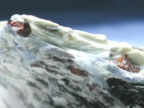 �J�C���i�C�g������ �X�C�X�Y (26G8-31)