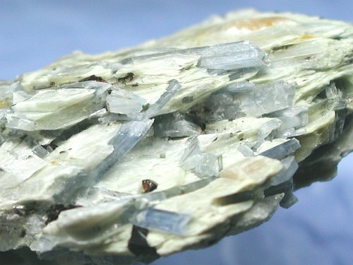 �J�C���i�C�g������ �X�C�X�Y (26G8-31)