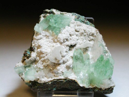 �A�|�t�B���C�g ����� (189)