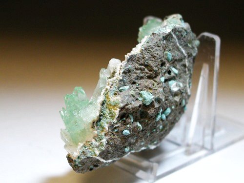 �A�|�t�B���C�g ����� (189)