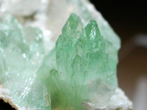 �A�|�t�B���C�g ����� (189)