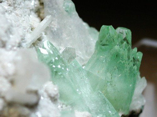 �A�|�t�B���C�g ����� (189)