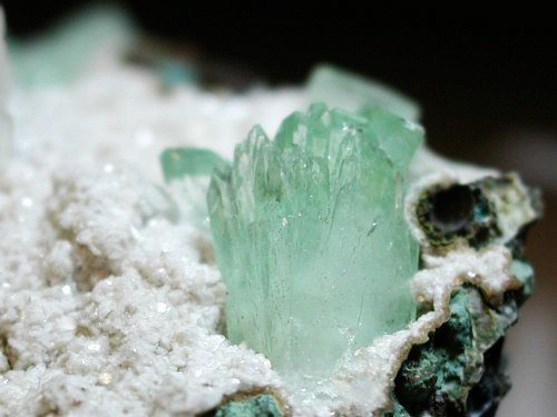 �A�|�t�B���C�g ����� (189)