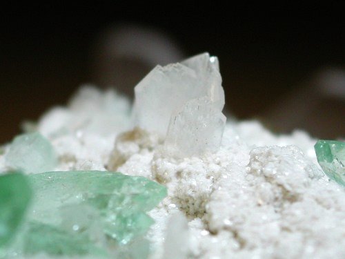 �A�|�t�B���C�g ����� (189)