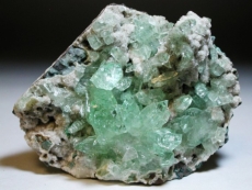 �A�|�t�B���C�g<br> ����� (194)