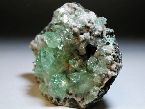 �A�|�t�B���C�g ����� (194)