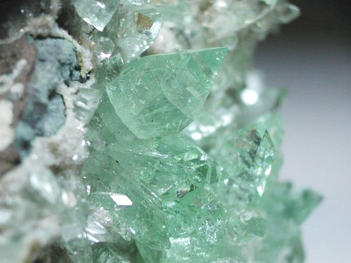 �A�|�t�B���C�g ����� (194)