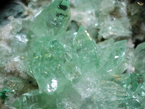 �A�|�t�B���C�g ����� (194)