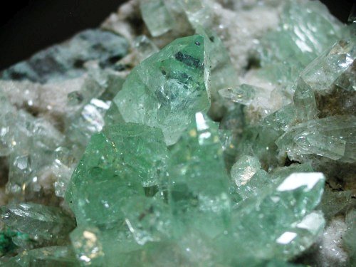 �A�|�t�B���C�g ����� (194)