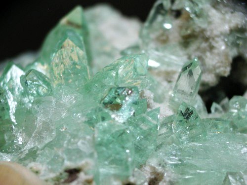 �A�|�t�B���C�g ����� (194)