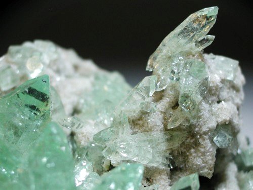 �A�|�t�B���C�g ����� (194)