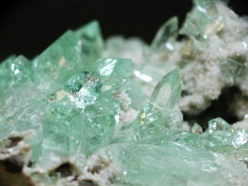 �A�|�t�B���C�g ����� (194)