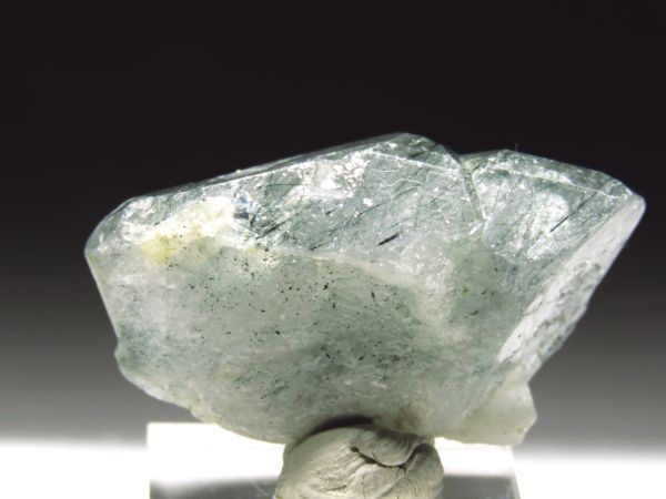 �A�p�^�C�g�o�� �A�N�`�m���C�g���� �A�N�����t (232)