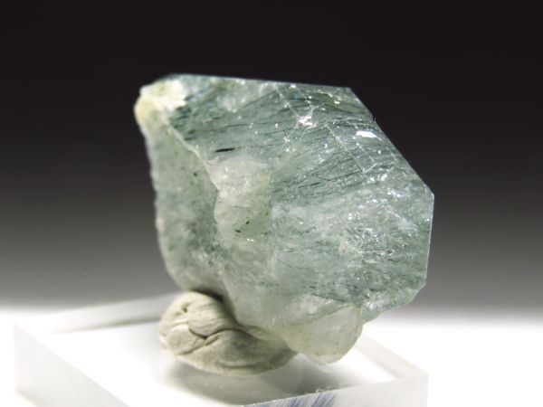 �A�p�^�C�g�o�� �A�N�`�m���C�g���� �A�N�����t (232)