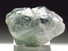 �A�p�^�C�g�o��<br> �A�N�`�m���C�g����<br> �A�N�����t (233)