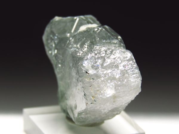 �A�p�^�C�g�o�� �A�N�`�m���C�g���� �A�N�����t (233)