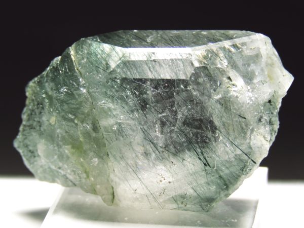 �A�p�^�C�g�o�� �A�N�`�m���C�g���� �A�N�����t (235)