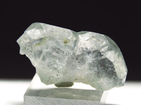 �A�p�^�C�g�o�� �A�N�`�m���C�g���� �A�N�����t (236)