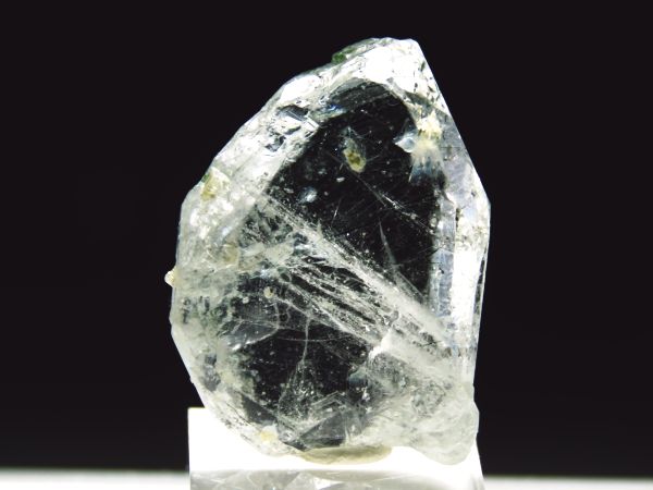 �A�p�^�C�g�o�� �A�N�`�m���C�g���� �A�N�����t (237)