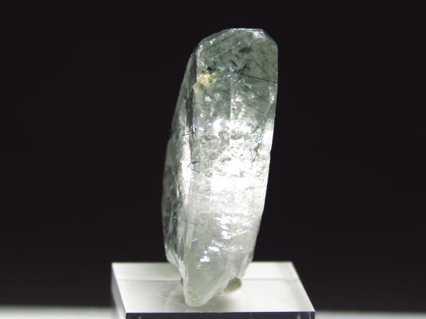 �A�p�^�C�g�o�� �A�N�`�m���C�g���� �A�N�����t (237)