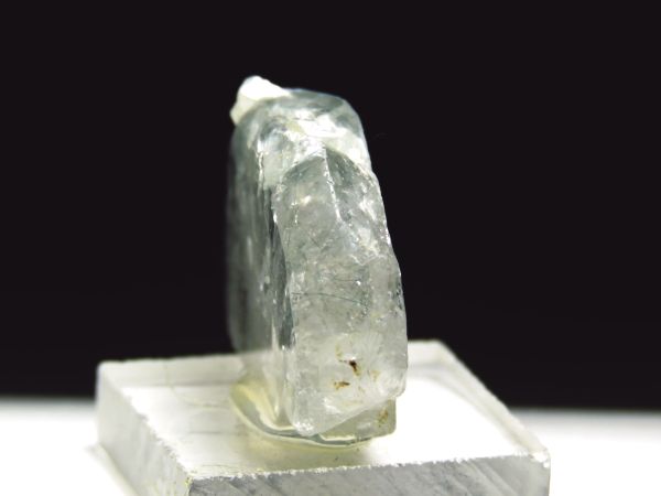 �A�p�^�C�g�o�� �A�N�`�m���C�g���� �A�N�����t (238)