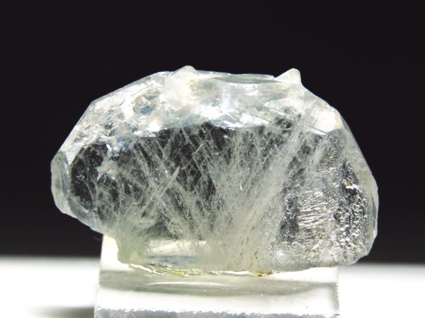 �A�p�^�C�g�o�� �A�N�`�m���C�g���� �A�N�����t (238)