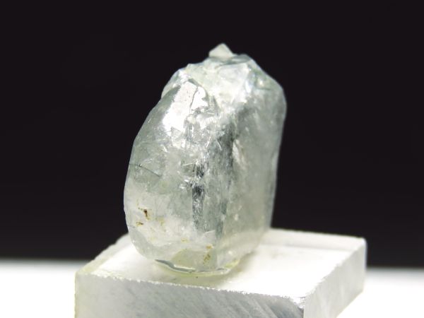 �A�p�^�C�g�o�� �A�N�`�m���C�g���� �A�N�����t (238)