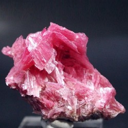 ���[�h�i�C�g��������<br> �΂�P�� (183)