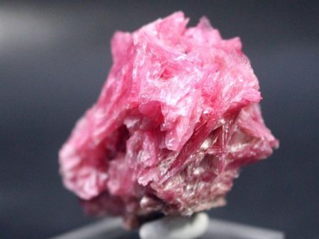 ���[�h�i�C�g�������� �΂�P�� (183)