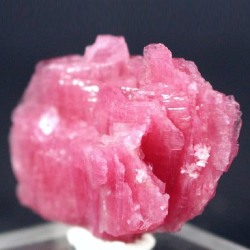 ���[�h�i�C�g��������<br> �΂�P�� (184)