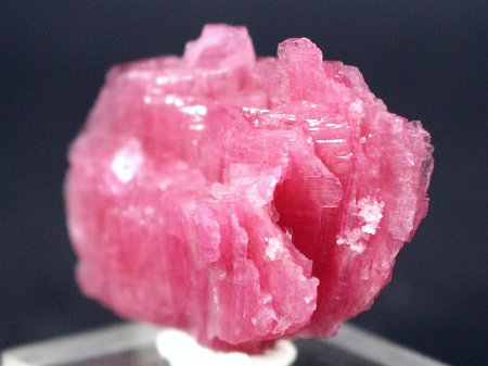 ���[�h�i�C�g�������� �΂�P�� (184)