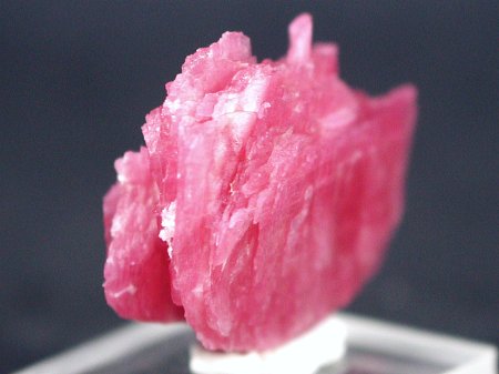 ���[�h�i�C�g�������� �΂�P�� (184)