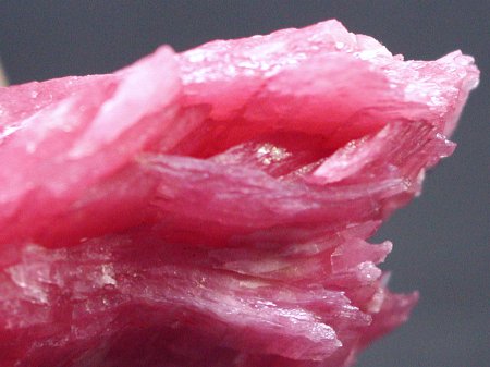 ���[�h�i�C�g�������� �΂�P�� (184)