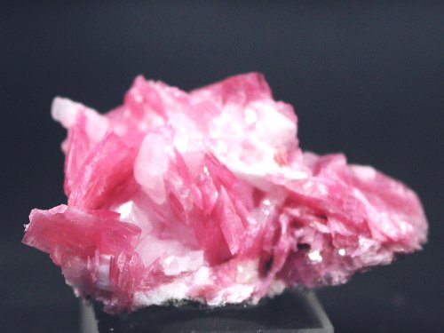 ���[�h�i�C�g�������� �΂�P�� (185)