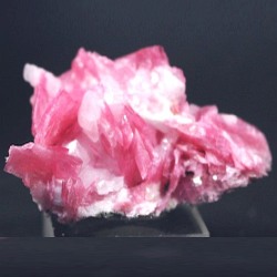 ���[�h�i�C�g��������<br> �΂�P�� (185)