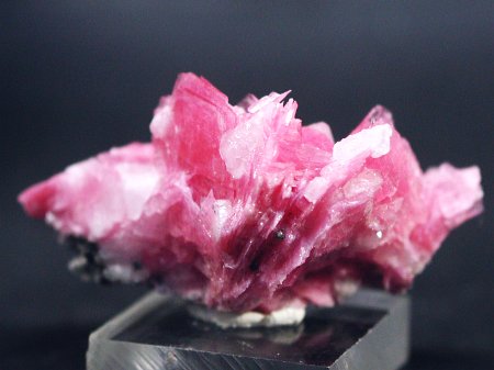 ���[�h�i�C�g�������� �΂�P�� (185)