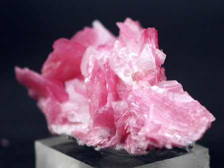 ���[�h�i�C�g�������� �΂�P�� (185)