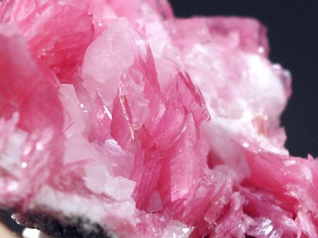 ���[�h�i�C�g�������� �΂�P�� (185)