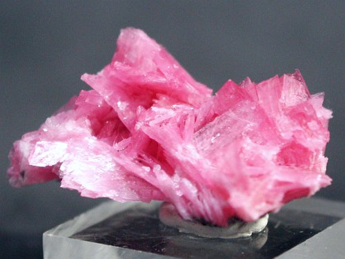 ���[�h�i�C�g�������� �΂�P�� (186)