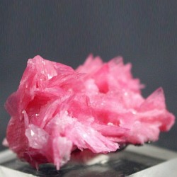 ���[�h�i�C�g��������<br> �΂�P�� (186)