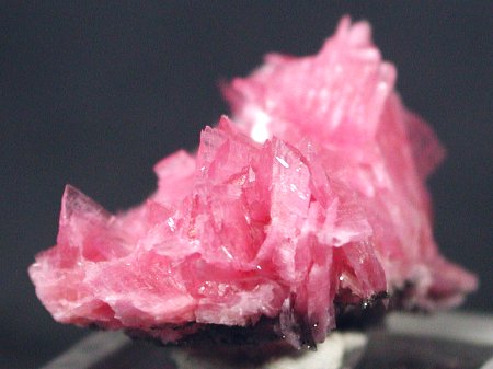 ���[�h�i�C�g�������� �΂�P�� (186)